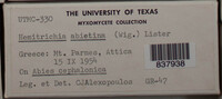 Image Associated With the Occurence